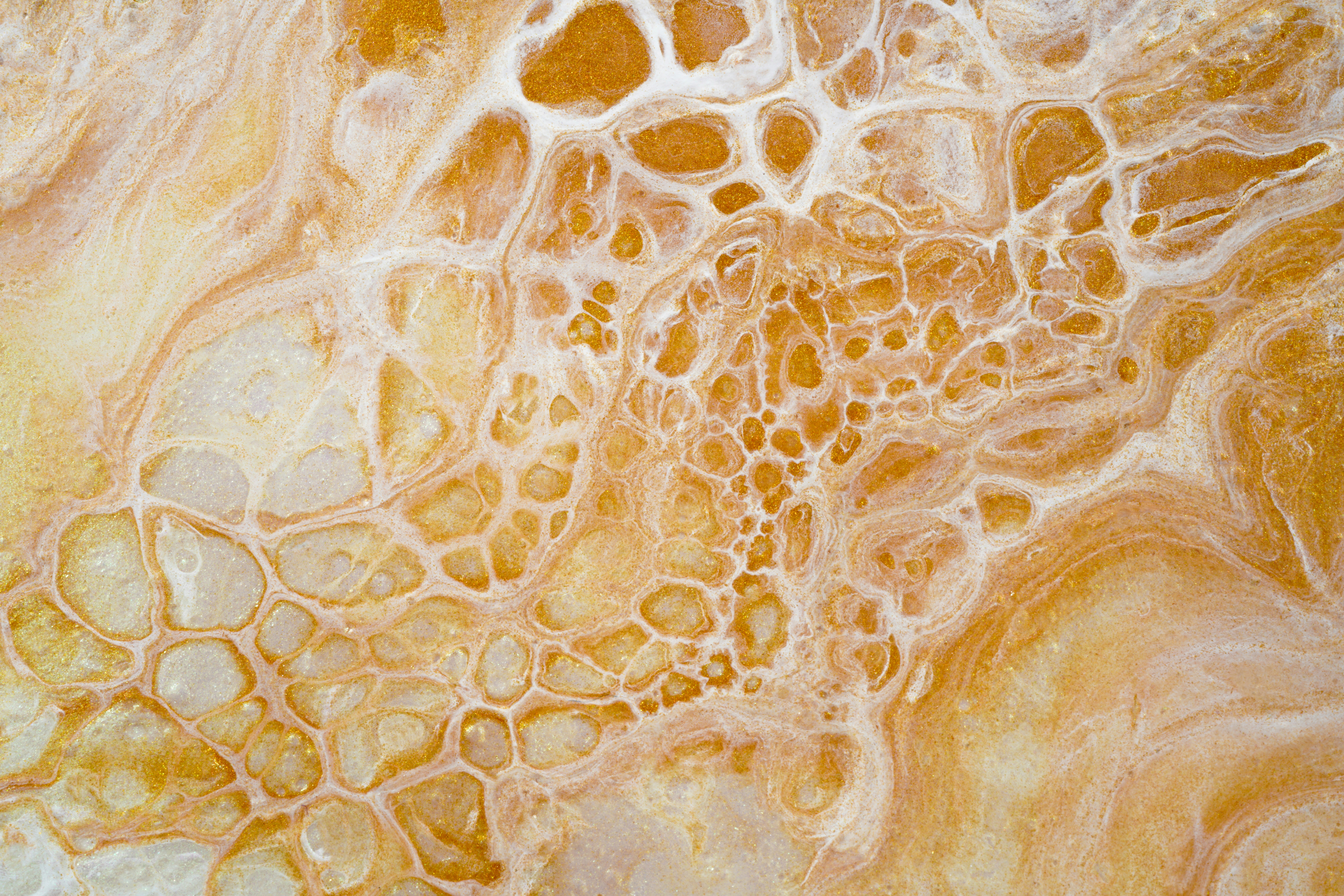 Science of fermentation